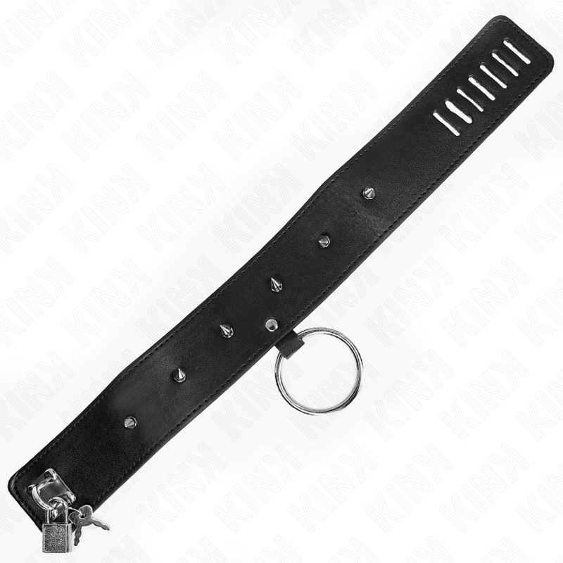 Collier BDSM avec Laisse Clous Argentés Réglable 36-43 cm - Kink