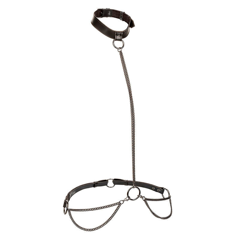 Collier et Laisse BDSM Euphoria Cuir Végan Chaîne Métal Réglable - CalExotics