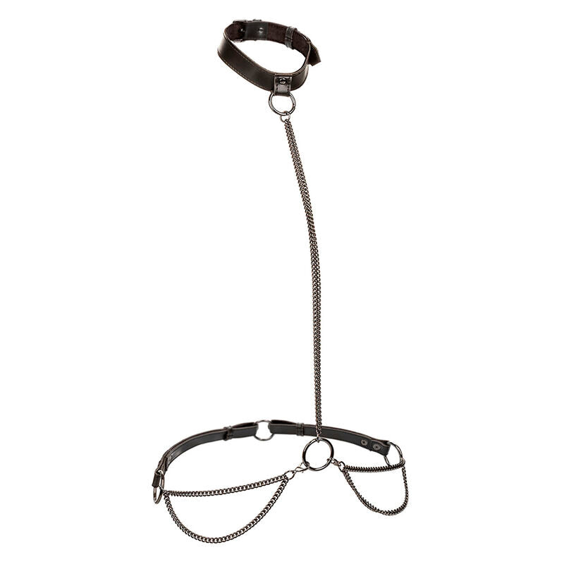 Collier Licol et Laisse BDSM Euphoria Cuir Vegan Grande Taille - CalExotics