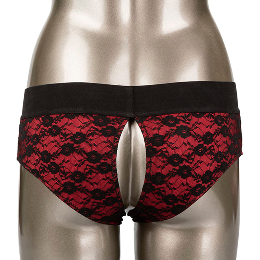 Gode Ceinture Féminin Scandal Culotte Sans Entrejambe 2 Tailles - CalExotics
