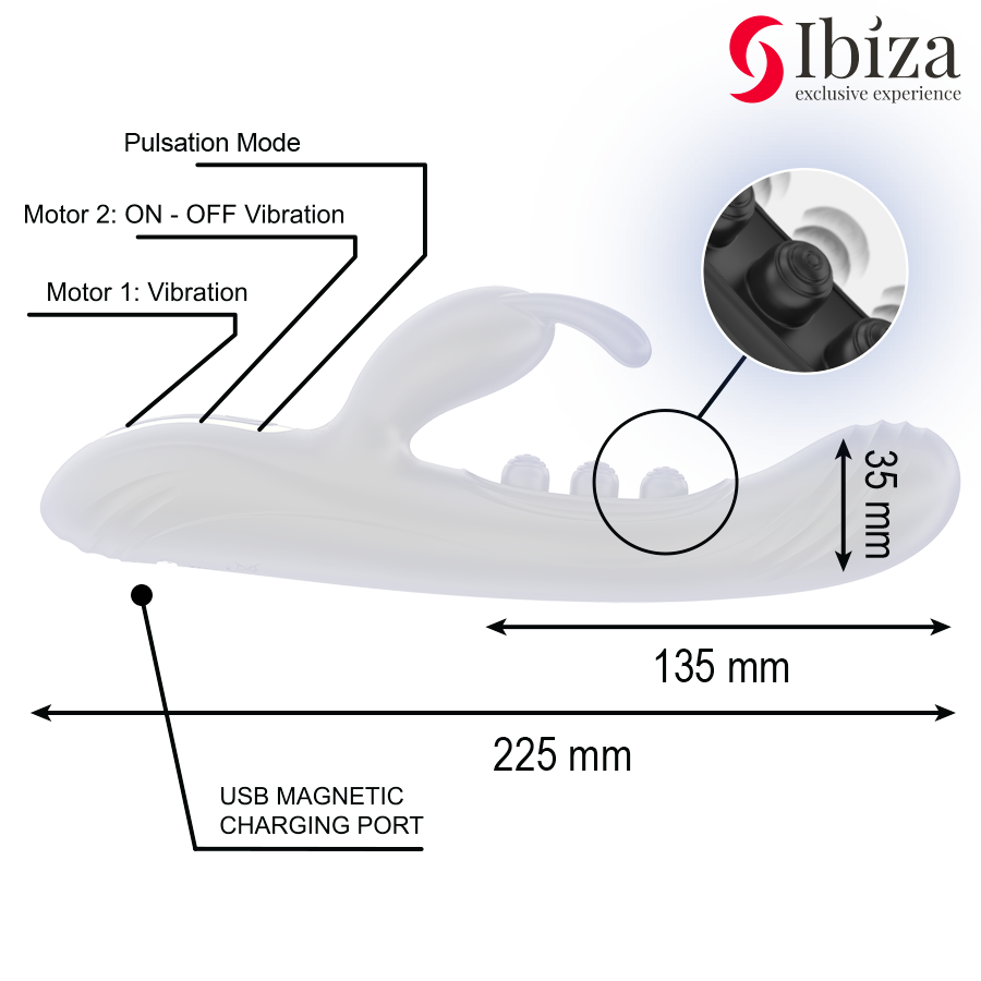 IBIZA - LAPIN VIBRANT À PULSATION